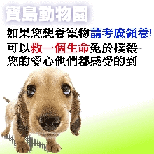 �_�q�ʪ���