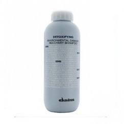 Davines達芬尼斯 活化精油護髮素1000ml-附押頭